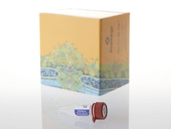 HaloTag® Standard Protein（G4491）