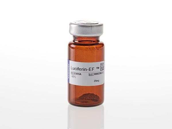 Luciferin-EF™ Edotoxin-Free Luciferin Na（E6552）