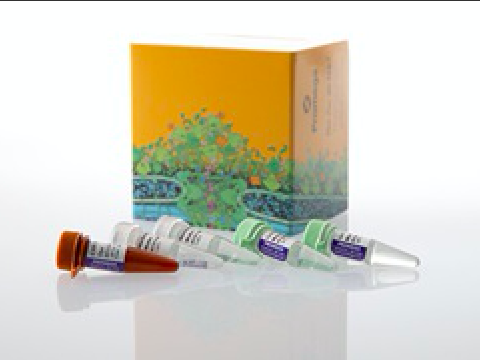 GoTaq® Enviro RT-qPCR System（AM2010）