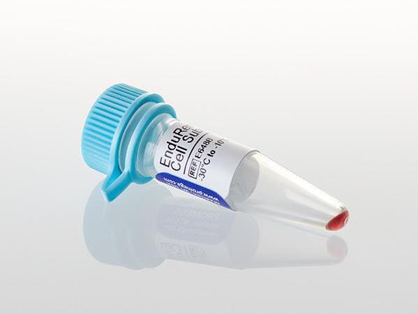 EnduRen™ Live Cell Substrate（E6482）