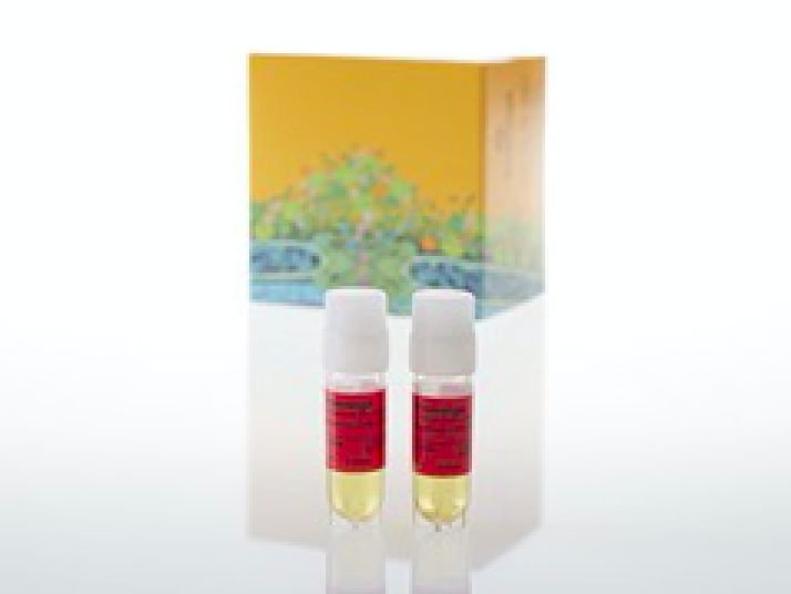 CD40 Bioassay, Propagation Model（J2132）