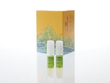 GITR Bioassay（J2272）