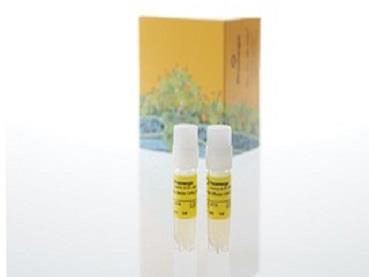 OX40 Bioassay（J2172）