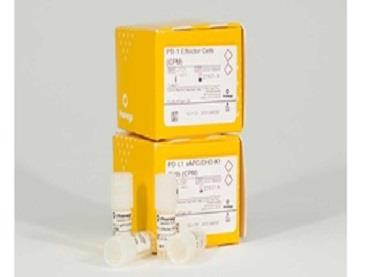 PD-1 Negative Cells 5X（J1195）