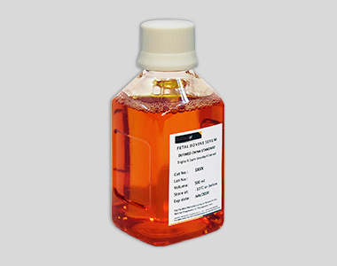 碳吸附胎牛血清 （CMS003.02）