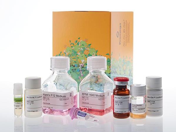 Maxwell® HT Fecal Microbiome DNA Kit（A6040）