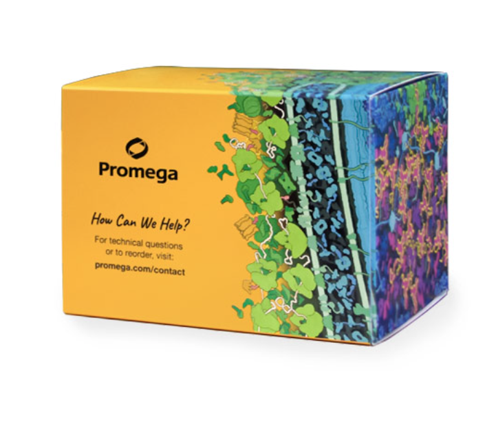 CellTiter-Glo® One Solution Assay（G8461）