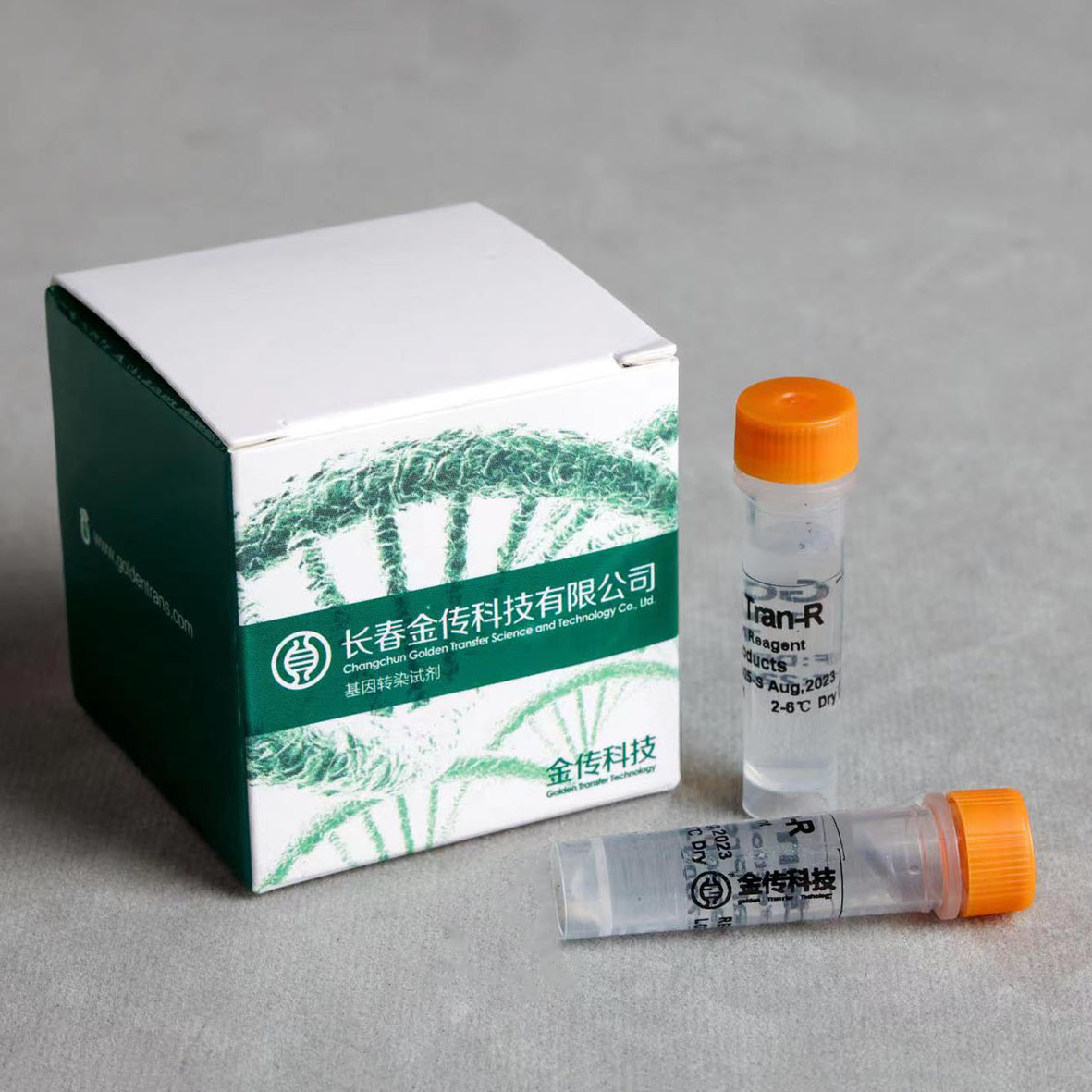 Golden Tran-R（R19425010）