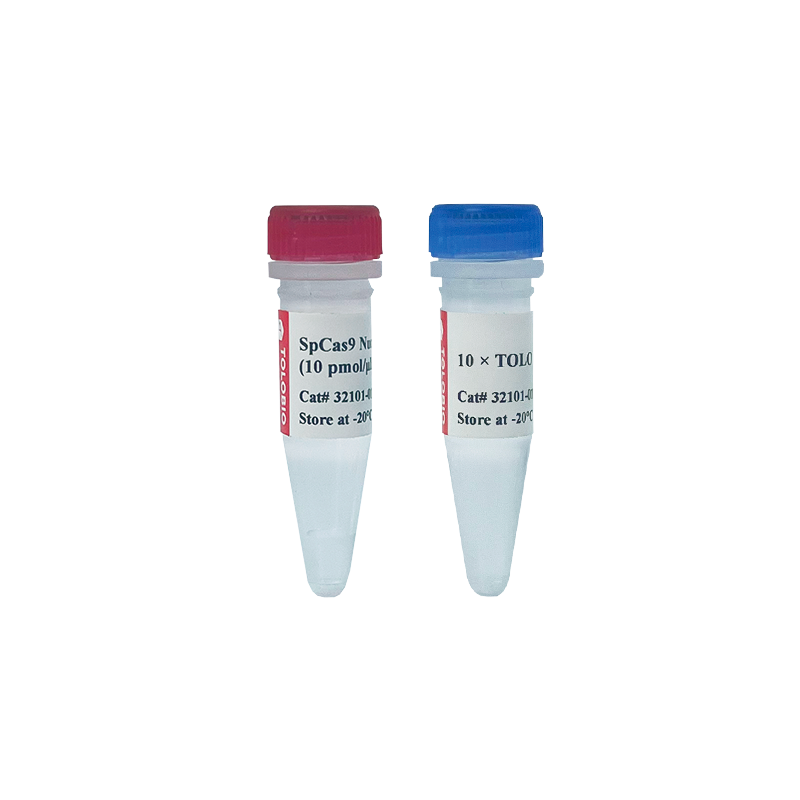 32101 SpCas9 Nuclease（32101）