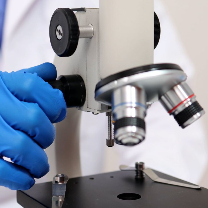 单核苷酸多态性(SNP)分析服务 ，实验周期2-4周（SXS028）