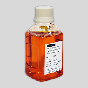 无四环素胎牛血清 500ml（CMS002.02）