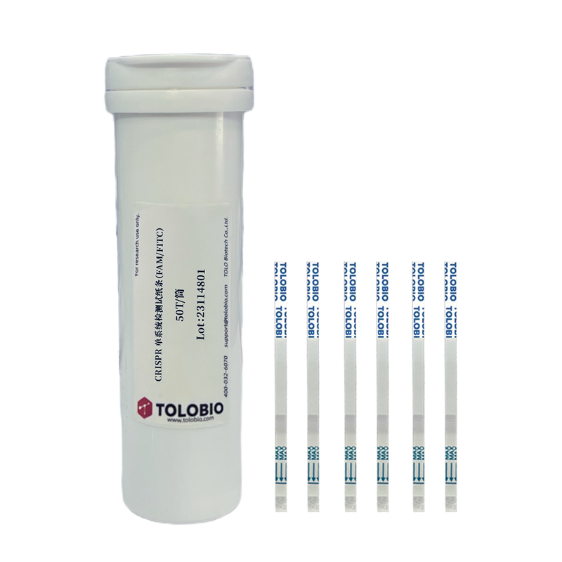 31203 CRISPR 单系统检测试纸条（FAM/FITC）（31203-01）