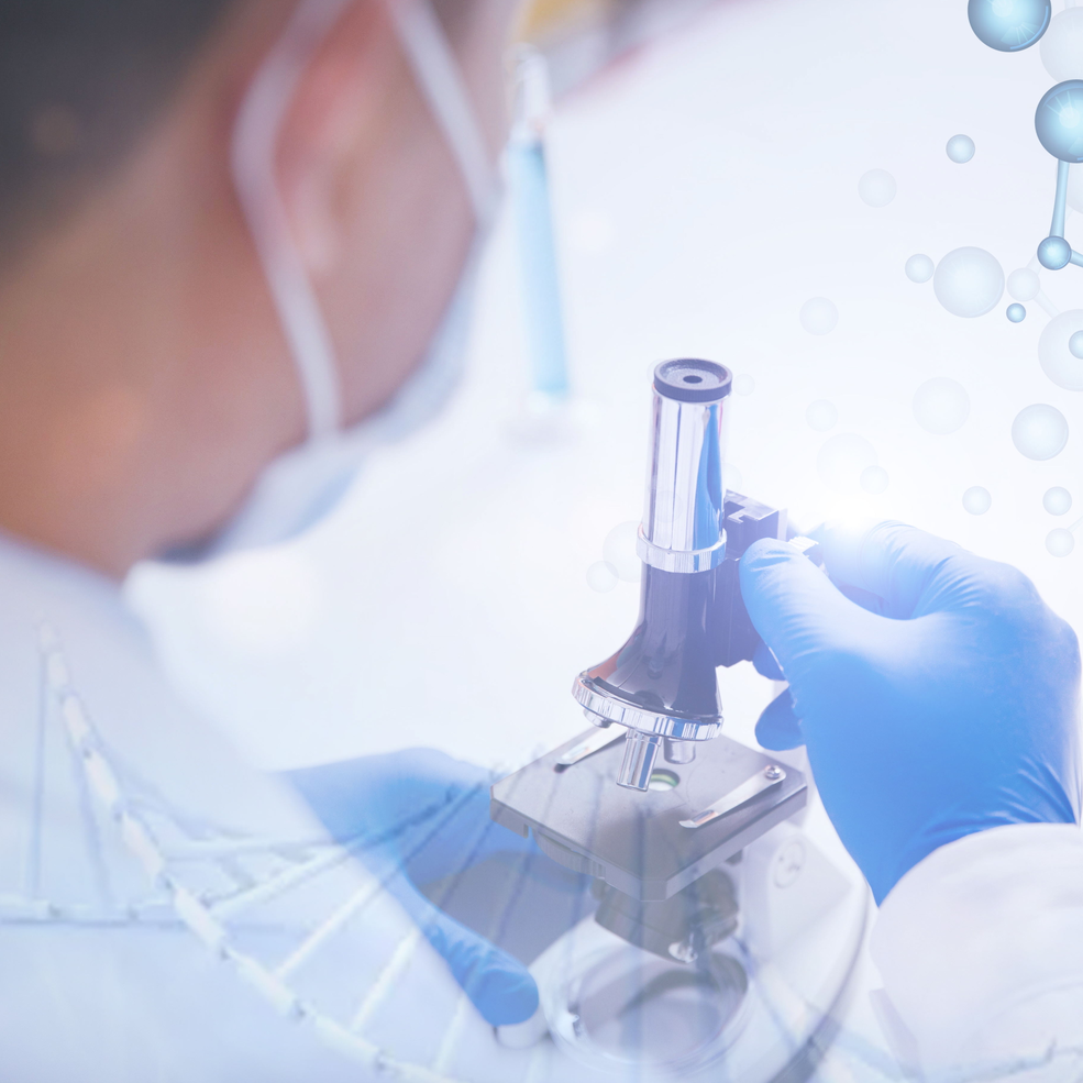 RNA干扰（RNAi）研究综合服务 ，实验周期4周起（SXS030）