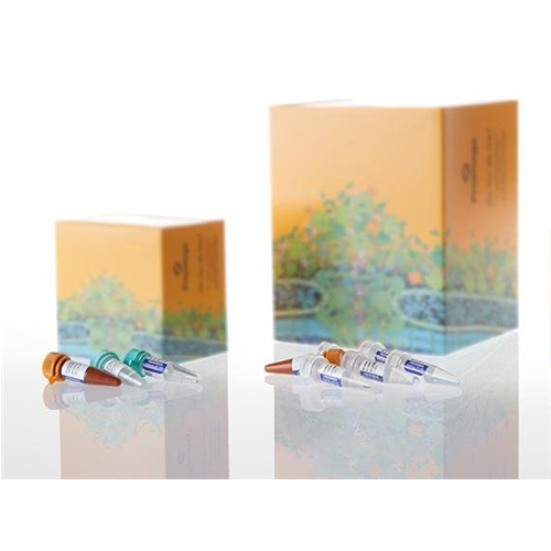 厚百生物代理系列产品线 & Promega畅销产品目录