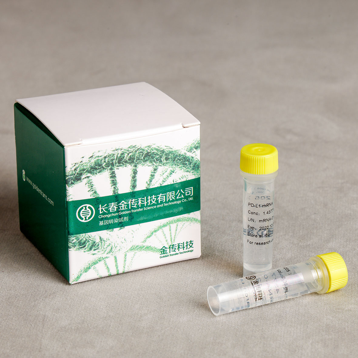 Golden Tran-DM（DM220221015）