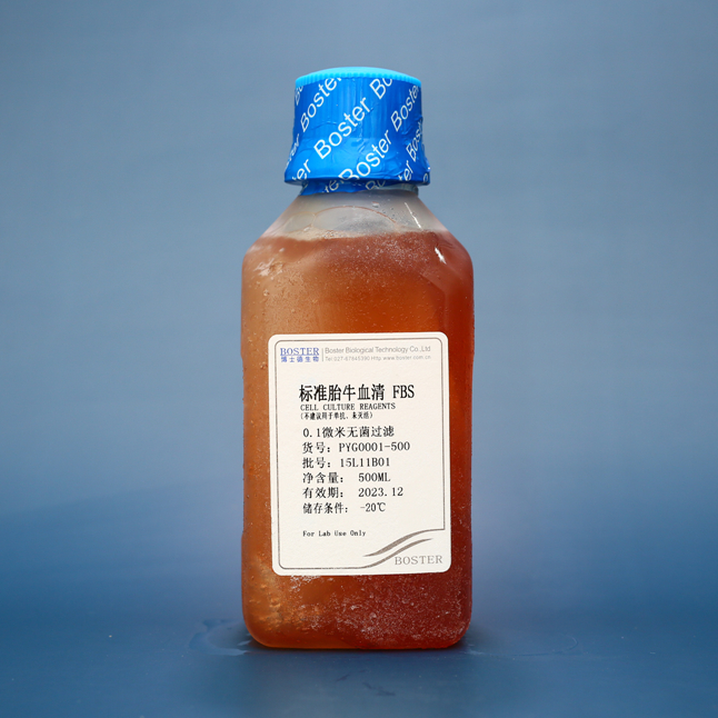 标准胎牛血清FBS（PYG0001）