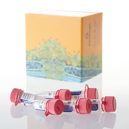 厚百生物Promega江苏区域系列产品代理与畅销目录