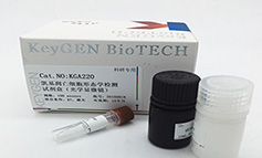 细胞凋亡形态学检测试剂盒