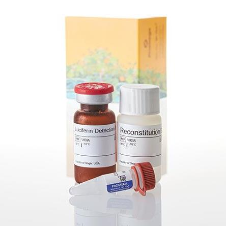 P450-Glo™ CYP2C8 Assay（V8782）