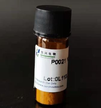 Proteinase K（蛋白酶K）（P0021）